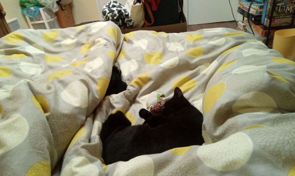 Un Noël en famille pour le premier de&nbsp;Gigi