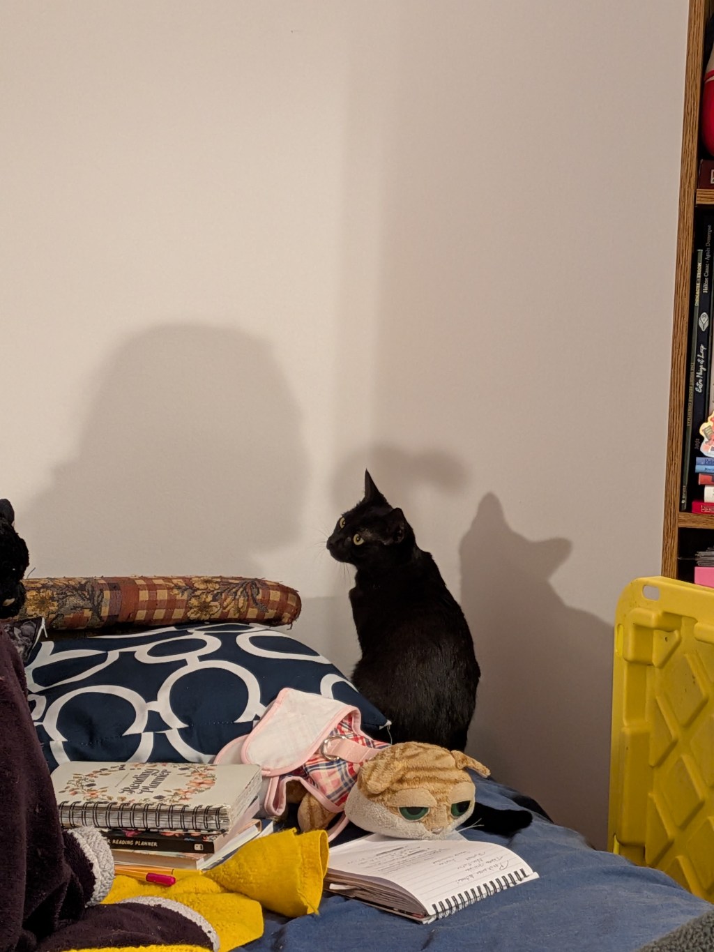 Un doigt de fée, un ongle de&nbsp;sorcière