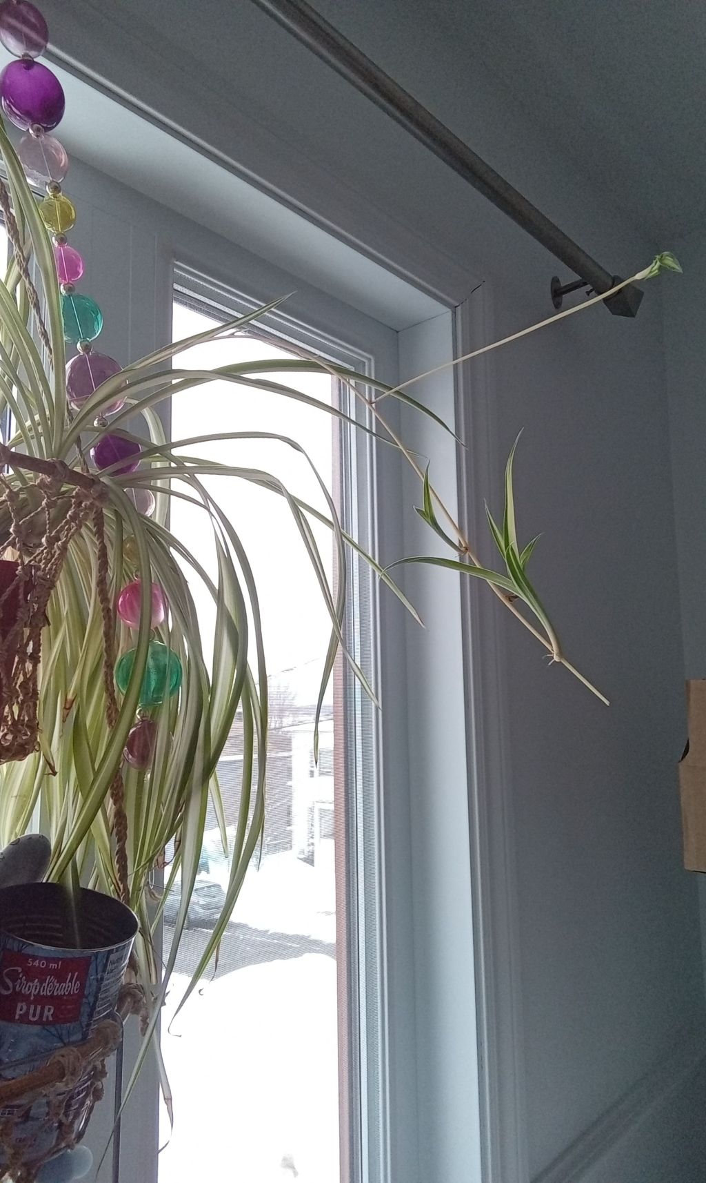 Retour à la&nbsp;source