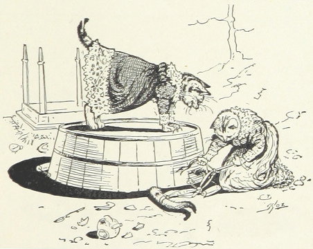 Fêtons les chats (oubliés)